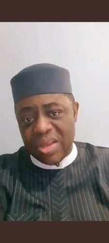 Femi fani-kayode on open grazing and freedom of movement 