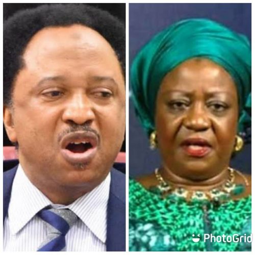 Lauretta Onochie, Shehu sani on INEC commissioner